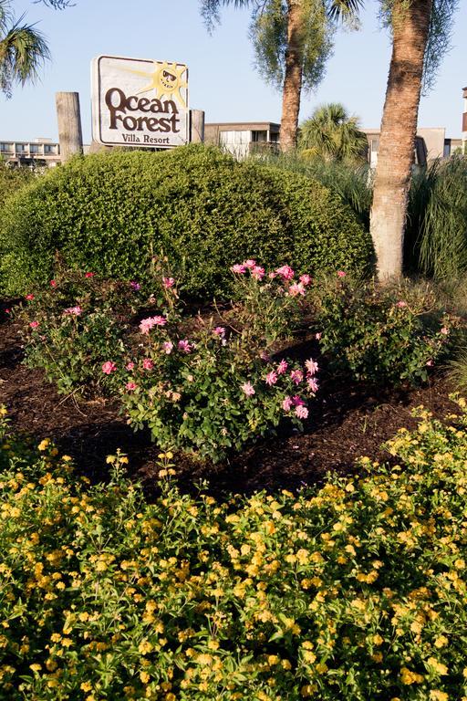 Ocean Forest Villas Myrtle Beach Exterior foto